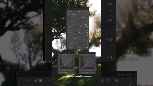 Free Moody & Green Lightroom Mobile Preset Tutorial | DNG & XMP Free Download | Presetum смотреть онлайн