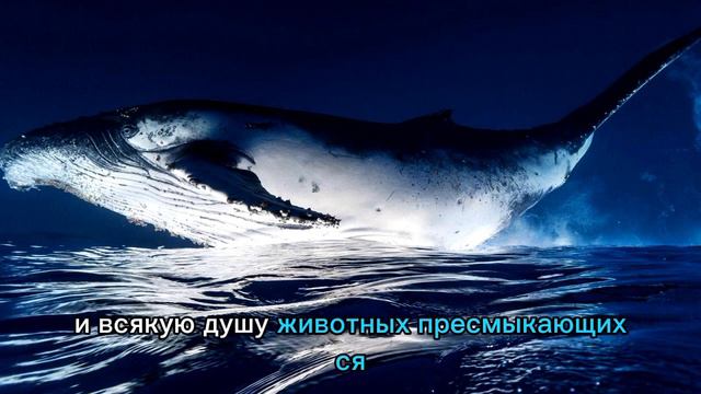 Сотворение мира по библии | Бытие смотреть онлайн