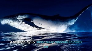 Сотворение мира по библии | Бытие