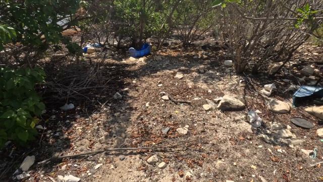 Рак-отшельник переезжает из пробки в морскую раковину смотреть онлайн