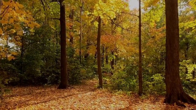 Короткие, но невероятно мудрые слова Михаила Ломоносова. Отличные цитаты, до глубины души! смотреть онлайн