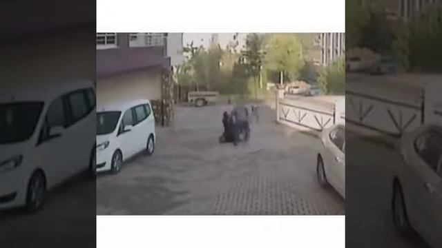 ит бар жермен жируге болмайды смотреть онлайн