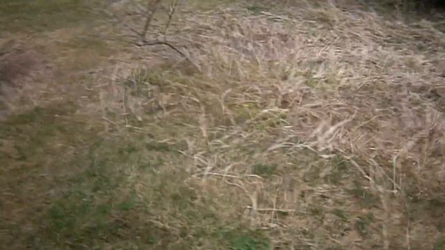 поездка на дачу (продолжение) смотреть онлайн