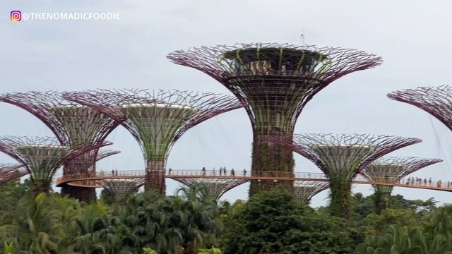 Singapore Gardens By The Bay Travel Guide: What You Need To Know (2023 Update) смотреть онлайн