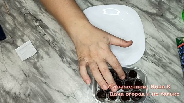 Лобелии без пикировки. из семян! 100 % всходы на 2 День! Супер Способ Выращивания Рассады Лобелия смотреть онлайн