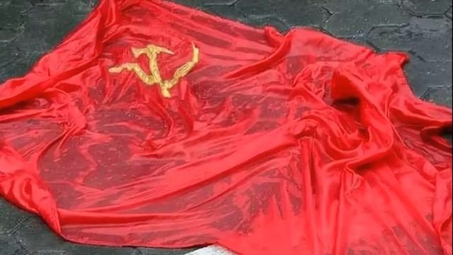 #Стихи.Быдло.Ростислав Векленко. смотреть онлайн