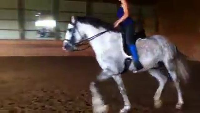 Lesson with Braveheart смотреть онлайн