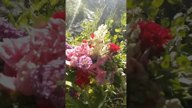 Букет из своих цветов смотреть онлайн