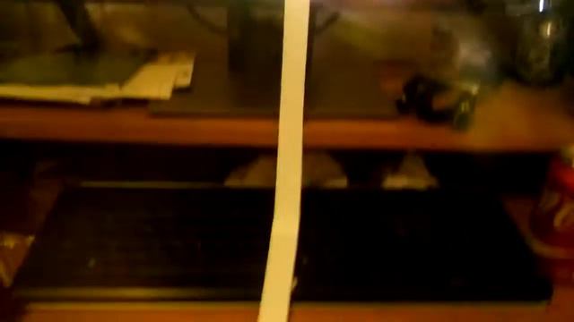 Lesser dog has gone where no dog has gone before смотреть онлайн