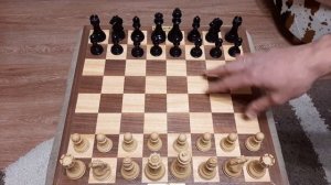Шахматы. Правильно начинать шахматную партию.