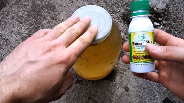 НИКОГДА НЕ ВЫБРАСЫВАЙТЕ ИСПОРЧЕННОЕ ВАРЕНЬЕ ИЛИ КОМПОТ. СЕКРЕТ УРОЖАЙНОСТИ ПОЧВЫ смотреть онлайн