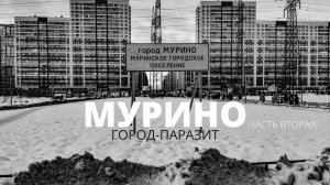 МУРИНО. СЕРИЯ ВТОРАЯ. ГОРОД-ПАРАЗИТ // ДНЕВНИК МЕСТНОГО