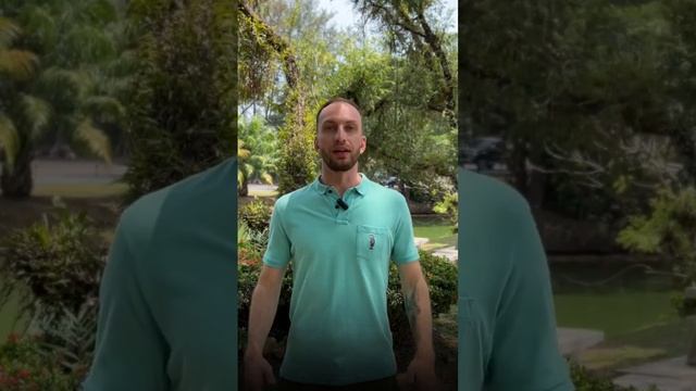 Какую форму собственности выбрать в Таиланде: freehold или leasehold? #недвижимость #пхукет смотреть онлайн