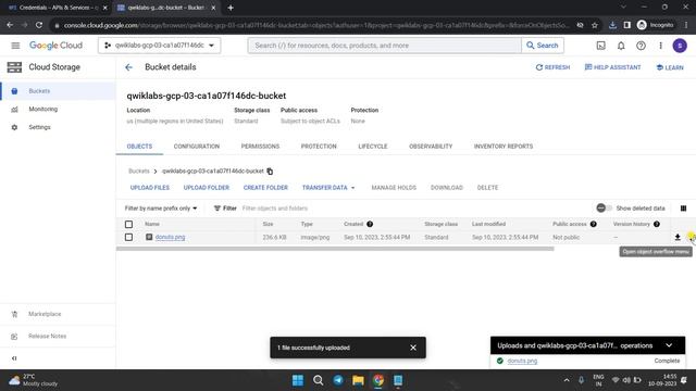 #GSP037 | Detect Labels, Faces, and Landmarks in Images with the Cloud Vision API Solution смотреть онлайн