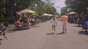 🇺🇲США.УЕХАЛИ В ШТАТ ВИРДЖИНИЯ #жизньвамерике #иммиграция #Вирджиния #влог #влогизамерики