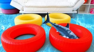 Влад и Никита очень хотят иметь домашних животных