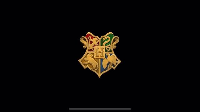 Chocolate Frogs Scavenger Hunt Day 3! Harry Potter Hogwarts Mystery #shorts смотреть онлайн