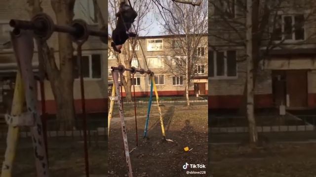 Удивительное видео стоит посмотреть смотреть онлайн