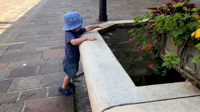 Морж. Как отмечают Детские дни рождения в Швейцарии. смотреть онлайн