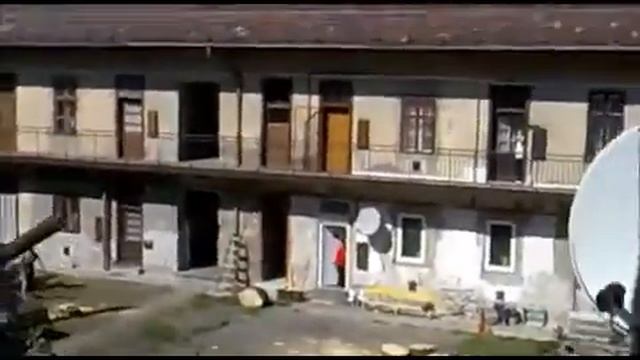 Спиленное дерево упало на машин смотреть онлайн