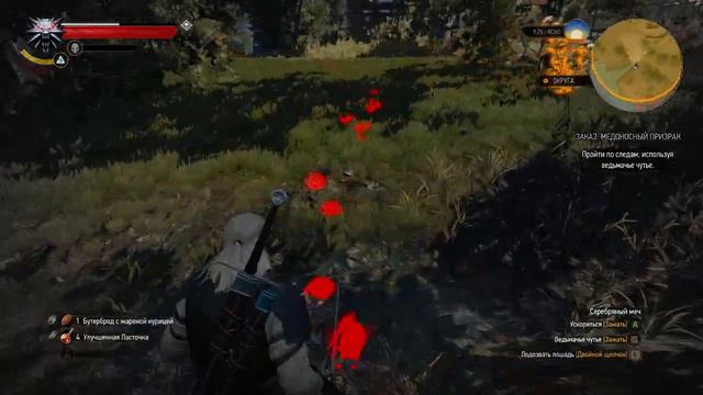 The Witcher 3. Заказ: медоносный призрак смотреть онлайн