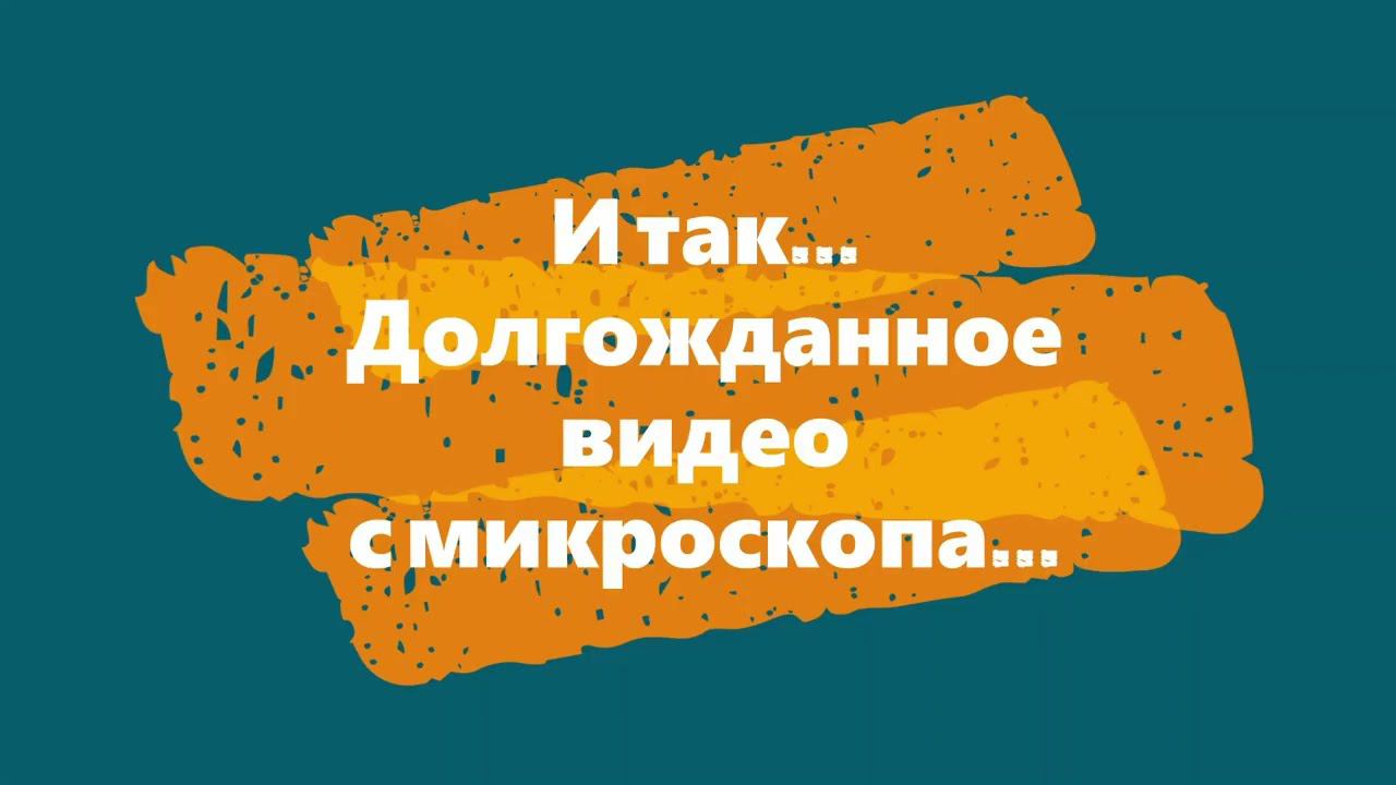 Заточка ножа из пятерочки камнями INDIA от Norton на точилке Вектор смотреть онлайн