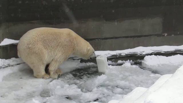 Что же мне сделать с этой канистрой? 21.11.18 смотреть онлайн