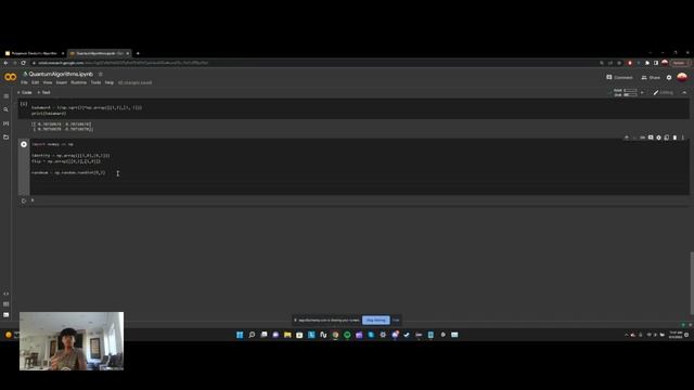 [Quantum Computing through Python # 9]Deutsch's Algorithm 2 The Solution смотреть онлайн