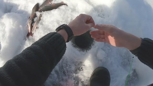 Рыбалка на реке Иркут весной. Лунка на сильном течении. смотреть онлайн