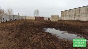 Ожеребилась кобыла. Не кормит жеребёнка. Почему и что делать.