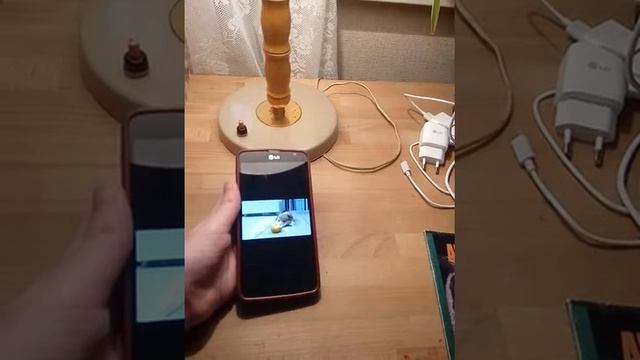 Тест на психику/наглая тыква. смотреть онлайн