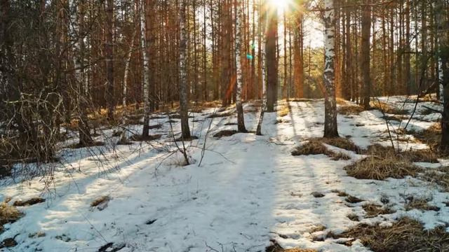 Четыре сезона и лечебно  успокаивающая  спокойная симфония