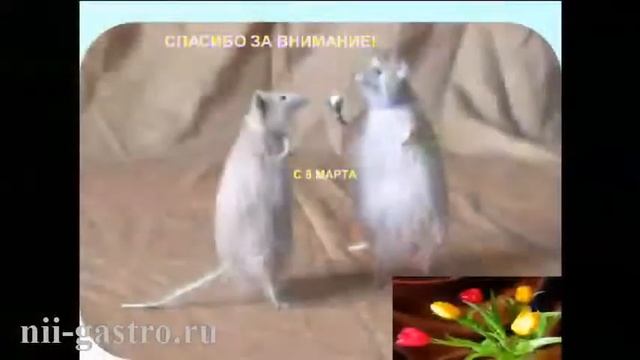 Клеточные технологии от научных .... смотреть онлайн