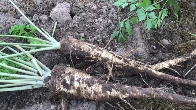 Мастер-Классы по Рукоделию и Творчеству