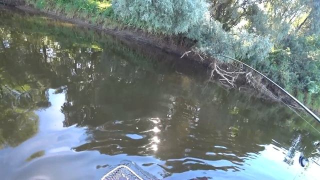 ТОП ОШИБОК ПРИ ЛОВЛЕ НА СПИННИНГ. ЛОВЛЯ ЩУКИ НА БЛЕСНУ И НА ДЖИГ. ПРИМАНКИ И ПРОВОДКИ НА ЩУКУ смотреть онлайн