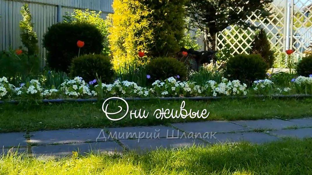 Они живые смотреть онлайн