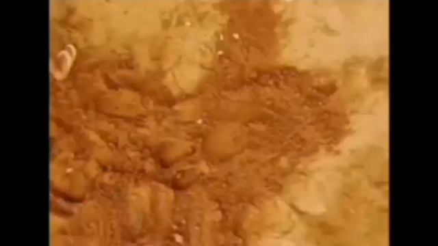 Все заставки Disney/Солнце(2010-2024) смотреть онлайн