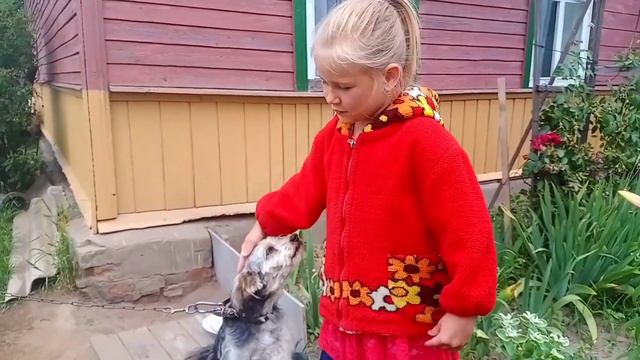 София и ее правила поведения в деревне смотреть онлайн