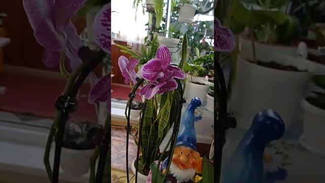 Подарки на день рождения смотреть онлайн