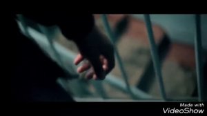 Шохин насими