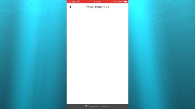 Мастерство и Радость