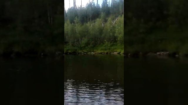 Мотор болотоход гибкий вал и природа смотреть онлайн