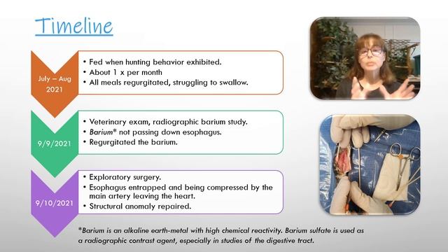 Health Crisis with our Carpet Python смотреть онлайн