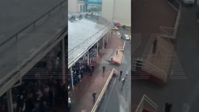 Силовики проверили продавцов Новоясеневского рынка смотреть онлайн