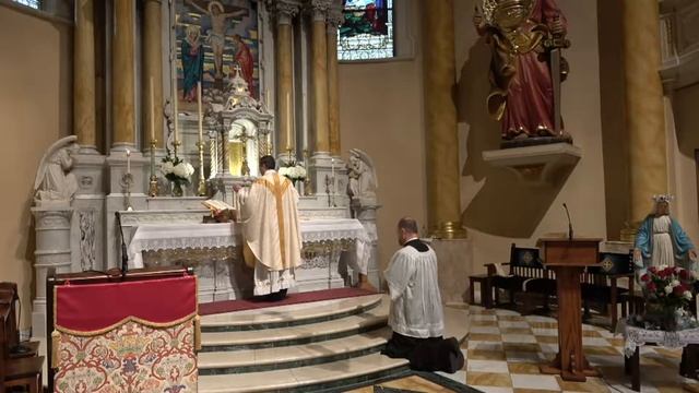 Mass from the Church Of Saint Agnes May 22, 2020 смотреть онлайн