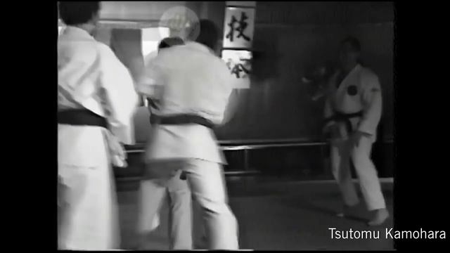 The history of Shito-ryu Shukokai Karate in germany смотреть онлайн