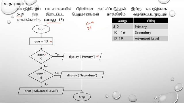 G.C.E (A/L) ICT | IF-ELSEIF-ELSE in PHP | Web Development | Tamil Medium | Zoom Class | Day 30 смотреть онлайн