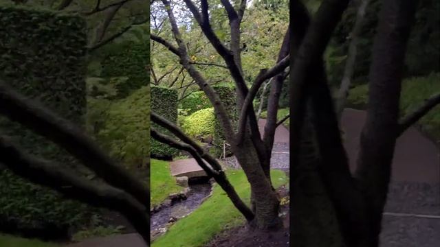 Японский сад в Берлине. Выставка Сады мира. Berlin Gärten der Welt. смотреть онлайн