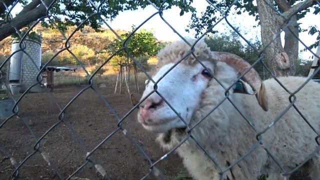 ВЛОГ//2 августа//НАЧАЛИСЬ БУДНИ//ГОТОВЛЮ КУШАТЬ//ИДЕМ НА ДЕНЬ РОЖДЕНИЯ смотреть онлайн