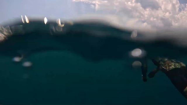 SHARKS Spearfishing MIAMI 2023 ПОДВОДНАЯ ОХОТА В ОКЕАНЕ!АКУЛЫ съели ВСЮ РЫБУ))) смотреть онлайн